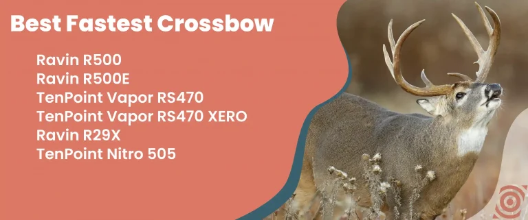 Best Fastest Crossbow