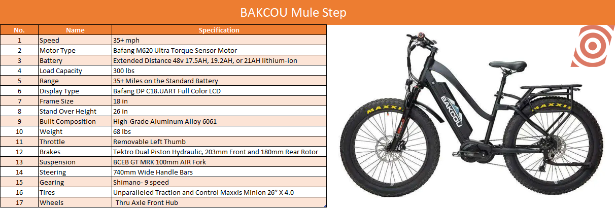 BAKCOU Mule Step